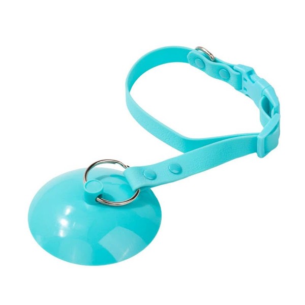 Lymizhuo Suction Cup Dog Grooming Leash, Washing Restraint Leash, Dog