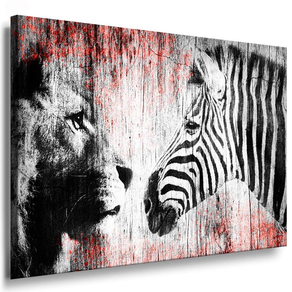 Julia-Art - Pictures Zebra, Lion Canvas with Stretcher Frame 40