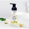 J.R. Watkins Foaming Hand Soap with Pump Dispenser, Moisturizing Foam