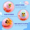 SAURAWAN 4PCS Kawaii Chicks Plush Wind Up Toy, Chicken with