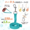 Pet Harness & Leash Set, Dog Harness, Small Dogs, Cats,