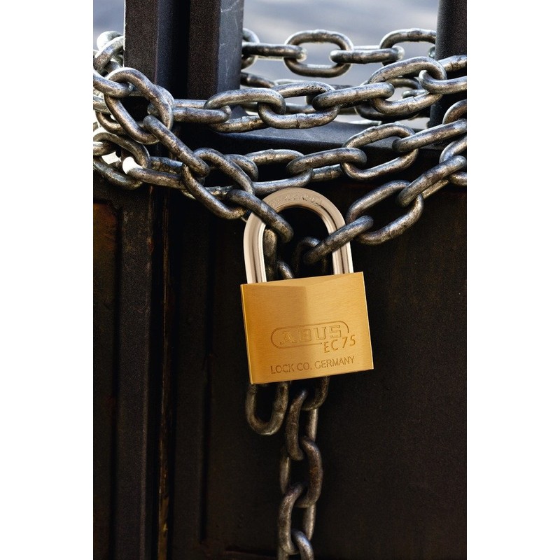 ABUS 26404 Brass Padlock with 7341 Reversible Alike Keyed