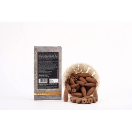 Conos de incienso de vainilla francesa con aroma a fuente de humo aromático, cascada, 50 unidades