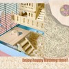 FiboPawer Transparent Rectangle Hamster Sand Bath Box for Hamster Cage