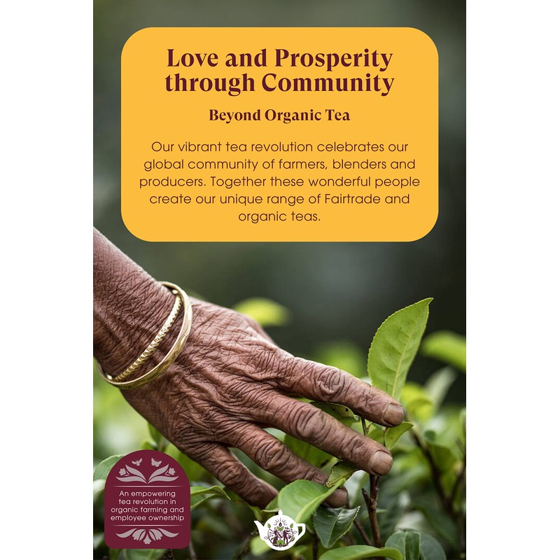 English Tea Shop Organic Wellness Collection - 12 Loose Leaf