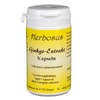Herbosus Ginkgo Extract Capsules for Concentration