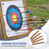 PATIKIL Arrows Vanes, 50 Pack 11 Inch Turkey Feather Arrow