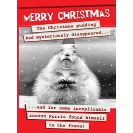 The Christmas Pudding Had Mysteriously Disappeared Christmas Card - Funny Card For Christmas
