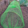 Easynets Black Butterfly Netting 3.5m Wide 3-4mm mesh size polyethylene