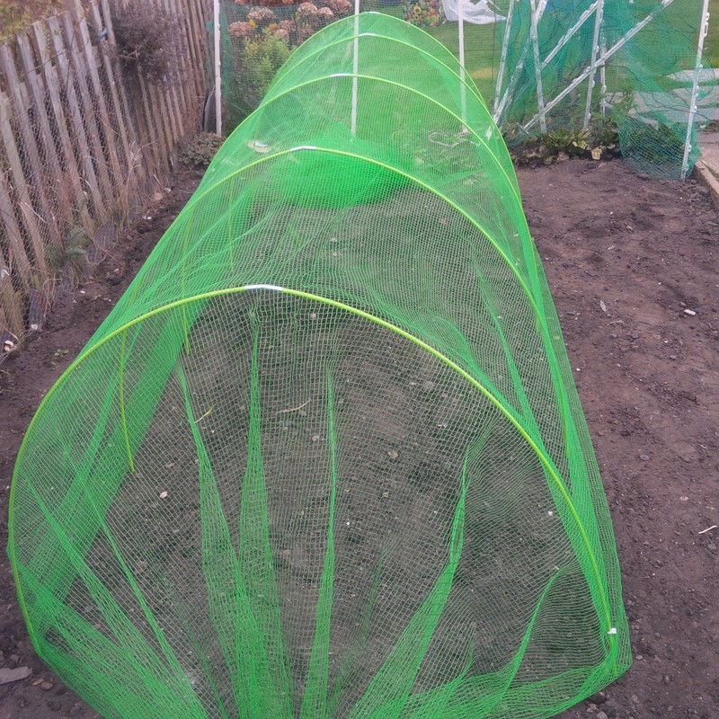 Easynets Black Butterfly Netting 3.5m Wide 3-4mm mesh size polyethylene