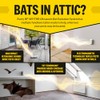 Ultrasonic Bat Exclusion System (ClearLine Edition Two-Pack)