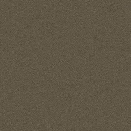 Championship Invitational Felt with Teflon - Olive - 8ft Cut