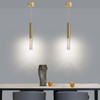 Mikeru 2 Pack Cylinder Ceiling Suspension Pendant Light, 3 Color