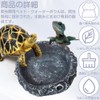 Reptile Water Tray Pet Bait Ball Bait Tray Natural Rock