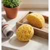 2 Pcs Sponge for Painting, Knockdown Texture Sponge Large Size,
