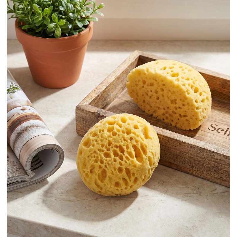 2 Pcs Sponge for Painting, Knockdown Texture Sponge Large Size,