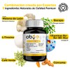 OBY Melena de Leon, Curcuma, L Tirosina, Bacopa, Cafeina y