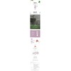 OLOS OLOS Youth Enhancing Cleansing Cream 250ml / OLOS 올로스