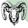 Medium 210mm 'Ram Head ' Clear Static Window Cling Sticker/Decal