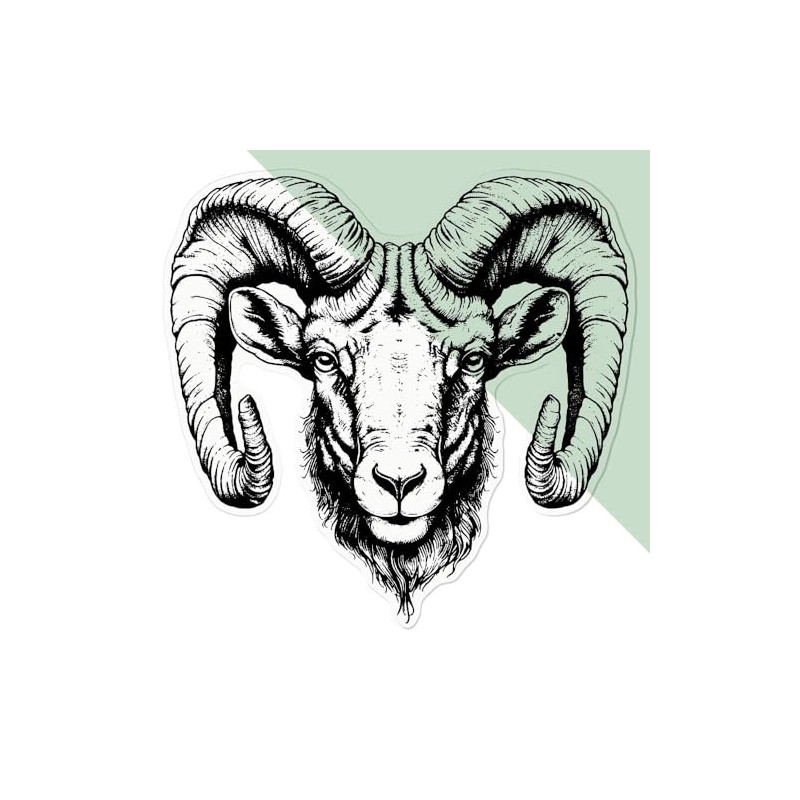 Medium 210mm 'Ram Head ' Clear Static Window Cling Sticker/Decal