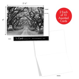 The Best Card Company - 20 All Occasion Blank Greeting Cards (4 x 5.12 Inch) - Landscape Photos (10 Designs, 2 Each) - Tree Lines AM3313OCB-B2x10