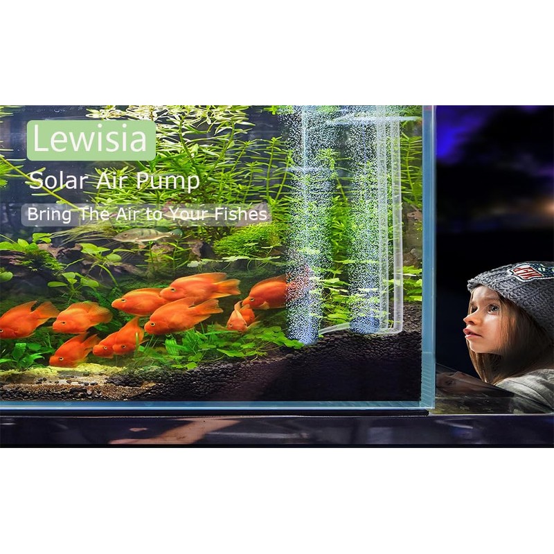 Lewisia 8W Solar Air Pump Kit with Air Hose and