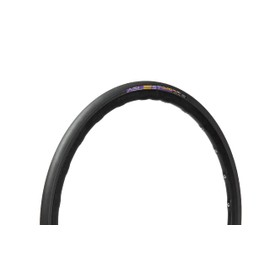 Panaracer F728TR-AGD-B Ailist DURO TLR 700 x 28C Tubeless Ready, Black