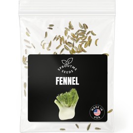 Fall & Winter Fennel Seeds for Indoor & Outdoor Planting – 150+ Non-GMO Heirloom USA-Grown Culinary Herb & Herbal Tea, Aromatic, High Germination (Foeniculum vulgare)