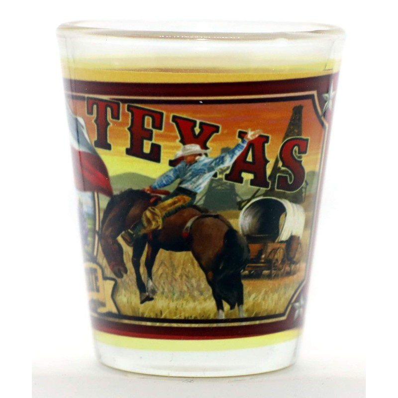 Texas State Mural Shot Glass