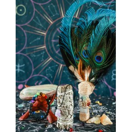 Nosadi Smudging Home Cleansing Kit with Smudge Feather, White Sage Smudge Sticks, Abalone Shell Bowl & Stand, Chakra Stone Bracelet | Healing Incense for Cleansing, Blessing, Protection, Meditation