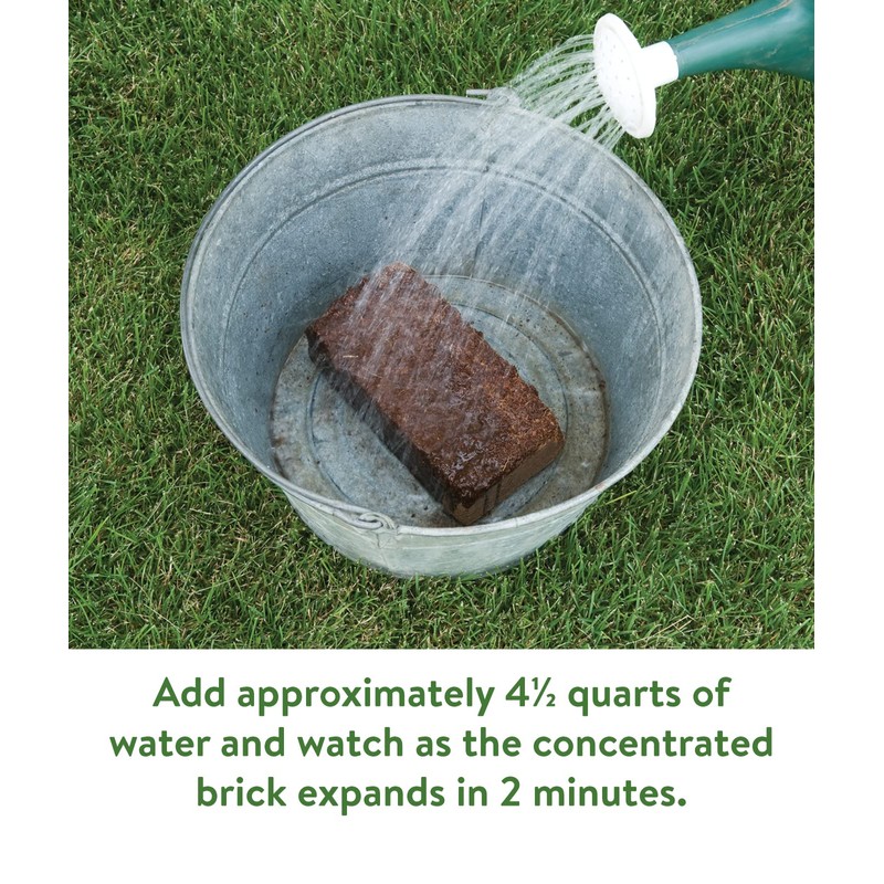 Burpee Organic Coconut Coir Concentrated Seed Starting Mix, 16 Quart