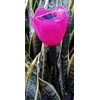 Solar Pink Tulip Light, Flower Garden Stake Decor Landscape Lamp