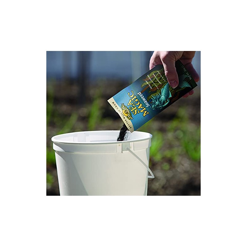Sea Magic Dry Soluble Seaweed Extract Fertilizer - 30 Gram