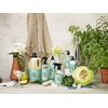 Caldrea Scented Candle, Made With Essential Oils And Other Thoughtfully