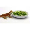 Carolina Reptile Veggie Chopper
