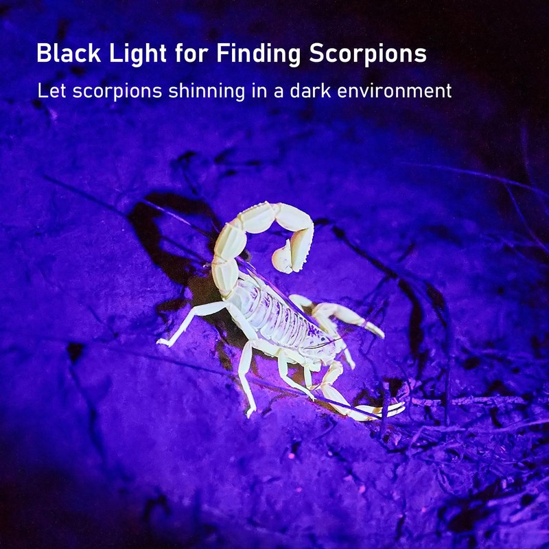 GLOSSDAY UV Flashlight Black Light, 100 LED Black Light Flashlight