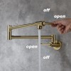 Wall Mount Pot Filler Kitchen FaucetColor: as Pic Color