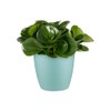 elho Brussels Round Mini 7 - Flower Pot for Indoor