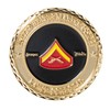 Artisan Owl USMC Lance Corporal Military Challenge Coin