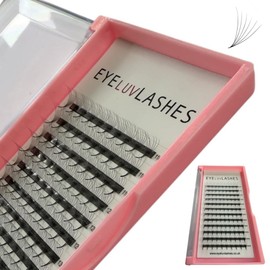 Russian Premade Lashes 6D D Curl 8-15 Mix Length Pre Made Lash Fans Volume Lashes Promade Lash Extensions Pre Made Lash Fans Eyelash Tray (6D 0.07 D Curl 8-15 Mix)
