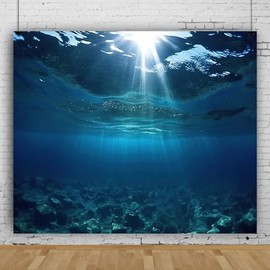 10x10ft Under The Sea Backdrop for Photography Sunlight Through Blue Sea Water Photo Background Ocean Theme Birthday Baby Shower Kids Adults Party Decorations Banner Studio Photo Booth Props