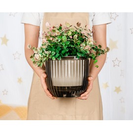 Melphoe 1 Pack Self Watering Hanging Planters Indoor Hanging Flower Pots, 8.3 Inch Outdoor Hanging Plant Pot Basket, Plant Hanger with 3Hooks Drainage Holes for Garden Home