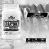 Creatina Monohidratada Beverly 1kg 200 Servicios En Polvo