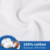 BIG ELEPHANT 10-Packs Training Underwear Absorbent Toddler Potty Trained Pants