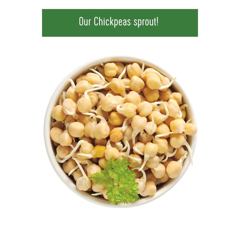 Chickpeas | 25 LBS | Emergency Food Storage Bucket |
