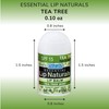 CHAP-ICE Lip Naturals? Mini Balms: 3 Flavors, SPF-15, 50ct