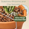 Orchid Nerd Galvanized Rhizome Clip for Clay Pot 4 inch