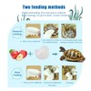 Mivofun 2PCS Natural Cuttlebone for Tortoise Turtles Snails Birds Cockatiels