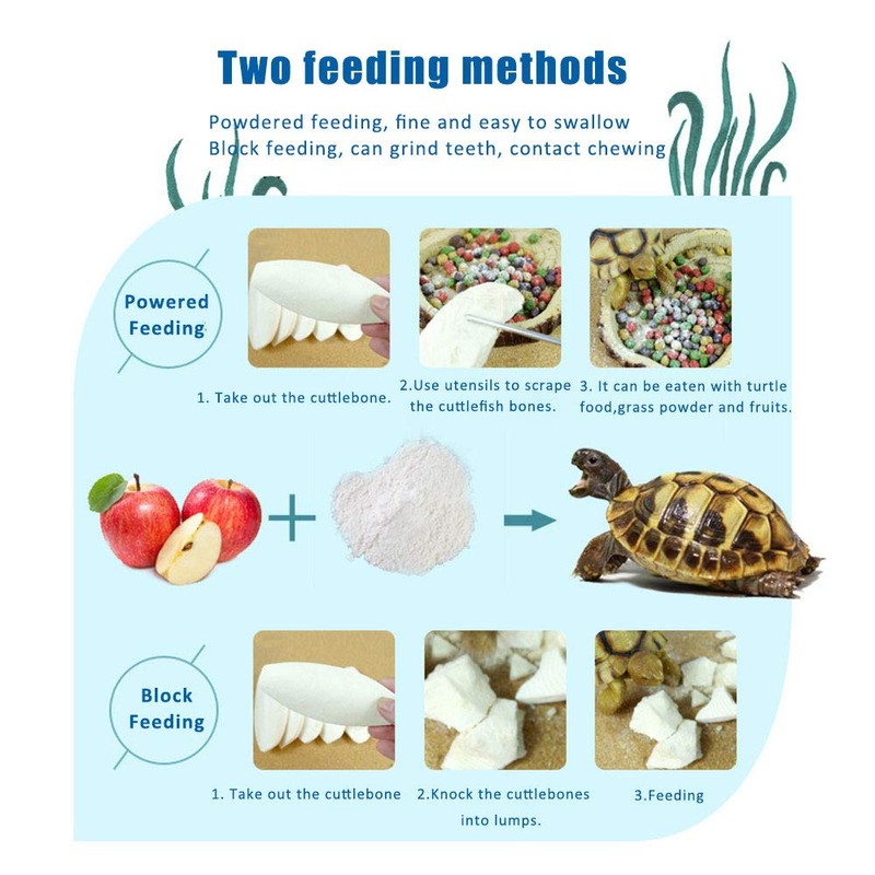 Mivofun 2PCS Natural Cuttlebone for Tortoise Turtles Snails Birds Cockatiels