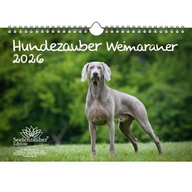 Hundezauber Weimaraner DIN A4 Kalender für 2026 Welpen und Hunde - Geschenkset Inhalt: 1x Kalender, 1x Weihnachtsanhänger (insgesamt 2 Teile)